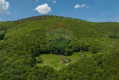 Teren de 5310 mp, în Colonia 1 Mai - 3