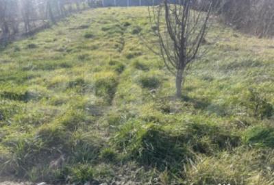 Teren în Central - 1