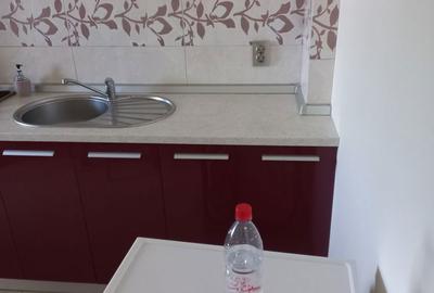 Garsonieră în Barieră - 8