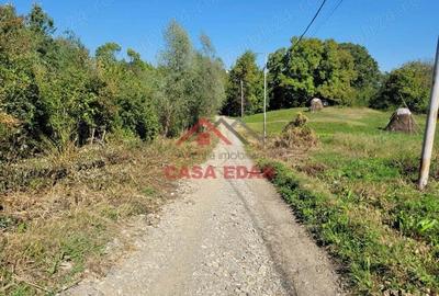 Teren intravilan in Poiana Campina 4285 mp parcelabil 11,6e - 14