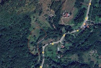 Teren de 7795 mp, în Opătești - 6