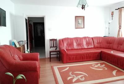 Apartament cu 2 camere semidecomandat în Malu Roșu