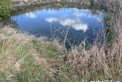 Teren de 2098 mp, în Beregsău Mare - 3