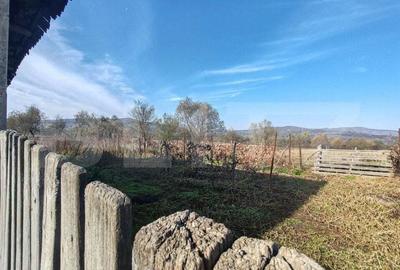 Casă cu 2 camere cu Teren 2100 Mp în Lupoaia - 6