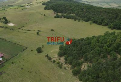 Teren cu priveliște și pădure pentru cabane de vânzare î Teren cu priveliște și pădure pentru cabane de vânzare î - 6