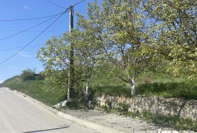 Teren de 23000 mp, în Dej - 2