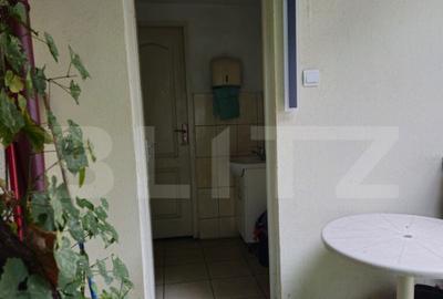 Spatiu comercial, 100 mp, terasa, Bld. Castanilor Spatiu comercial, 100 mp, terasa, Bld. Castanilor - 22