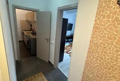 Garsonieră decomandată în Ozana - 8