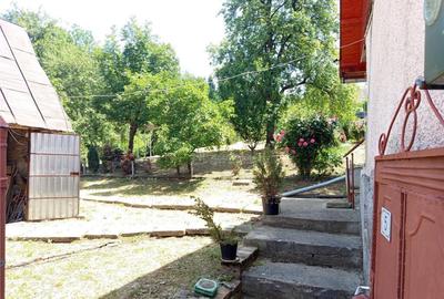 Anina, Sigismund, Casa 4 Incaperi, 1439mp Teren, ZERO Comisi - 4