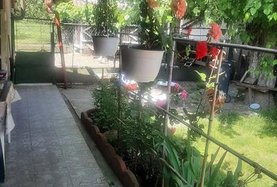 Casă cu 3 camere în Bretea Mureșană - 1