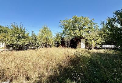 Teren de vanzare Comuna Berceni - 3