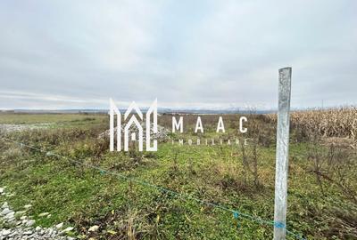 Teren Construcții intravilan de 860 mp, în Bradu - 5