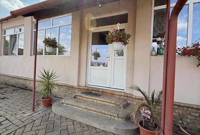 Casă cu 3 camere cu Teren 1797 Mp în Iecea Mică - 4