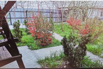 Spațiu comercial, în Vidra - 4