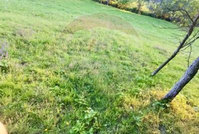 Teren de 6900 mp, în Breb - 3