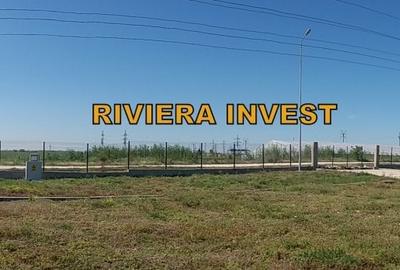 Ovidiu-PECO Celsy- DN 2A teren intravilan, zona industriala - 7