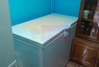 Movilita  (IL) - de vanzare casa 5 cam p+1 - 25