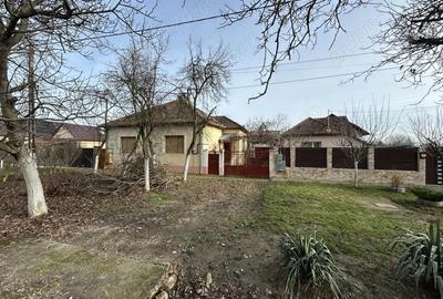 Vand casa mare, 4 cam.in Mandruloc, st.1.484 mp. sc.160,toate utilitatile introduse(incl.gaz) - 16