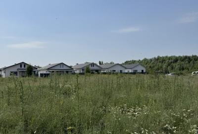 Domnesti - Strada Salciei - Teren intravilan 500 mp x 2 loturi - 10