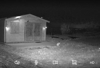 Cascioarele, Ulmi jud. Giurgiu, teren 1.200 mp + casuta de gradina si anexe - 3