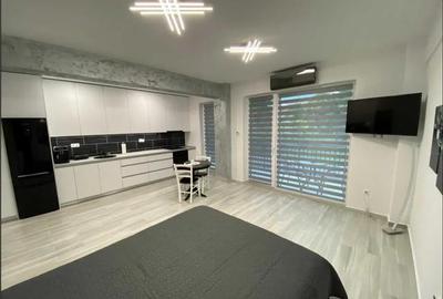 Apartament 1 camera , Open Space , Modern , Central , 48mp - 2