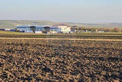 Teren agricol extravilan de 6100 mp, în Stroiești - 13