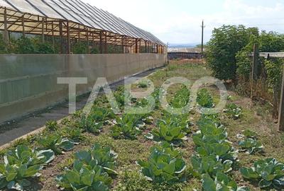 Casa cu curte si gradina de vanzare in Sebes judetul Alba - 10