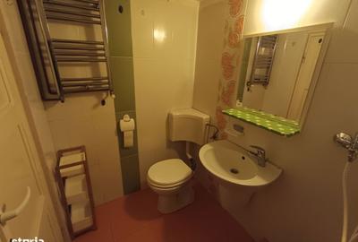 Apartament cu 2 camere semidecomandat în Horea - 10
