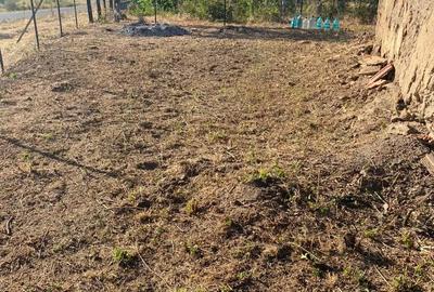 Casă cu Teren 250 Mp în Silvaș - 4