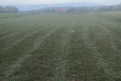Teren de 4100 mp, în Pricaz - 3