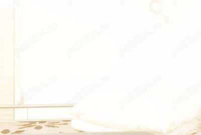 Casă cu 6 camere în Elisabetin - 2