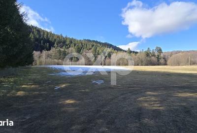 Teren de 19200 mp, în Brădet - 5