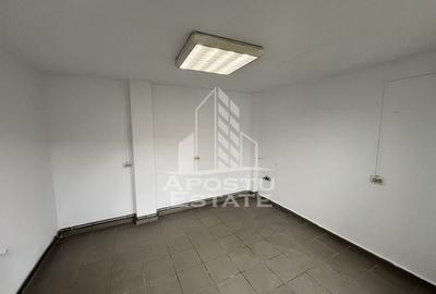 Imobil de vanzare P+M, 173 mp utili,  Elisabetin. - 6