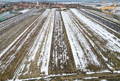 Teren intravilan 6.425 mp,Dobolii de Jos, recomandat investitie/rezidential - 8