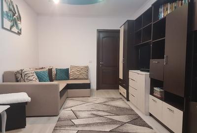 Apartament doua camere, deco, mobilat utilat frumos, Parcul Catedralei - 28