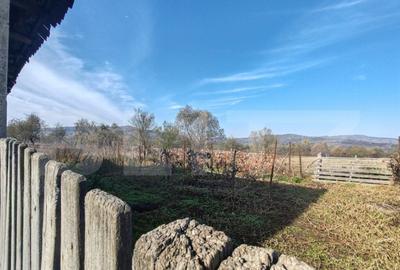 Casa +anexe de vanzare - 11