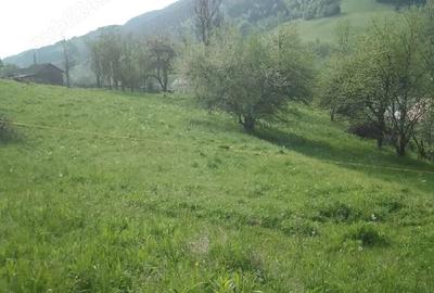 Spațiu comercial, în Vidra - 1