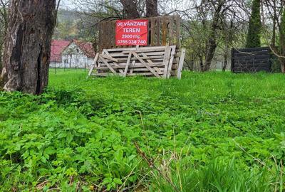 Teren de 2900 mp, în Rădășeni - 4