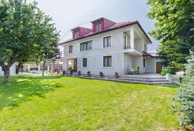 Spațiu comercial, de 1,620 mp, în Otopeni - 10