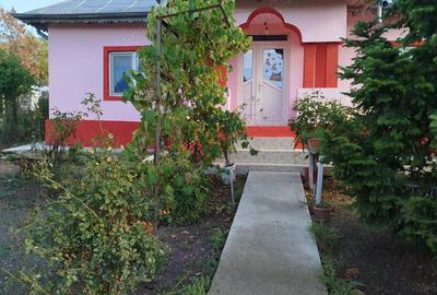Proprietar vad casa Comuna Bucsani sat Obedeni,jud Giurgiu - 11