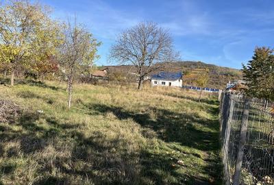 Spațiu comercial, în Călinești - 1