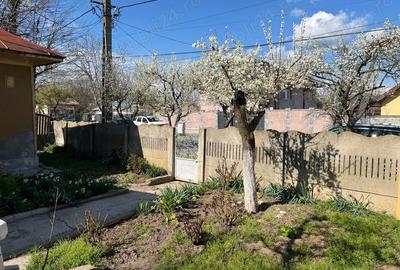 Casa de vanzare Casa de vanzare - 1