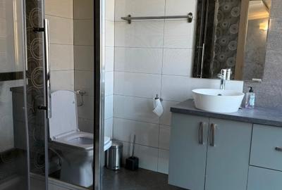 VILA MODERNA VOLUNTARI, MATEI MILLO - 10