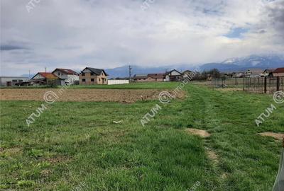 Eren intravilan 1400 mp de pe Valea Avrigului - 10