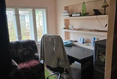 Casă cu 3 camere cu Teren 2500 Mp în Pietroasa - 13