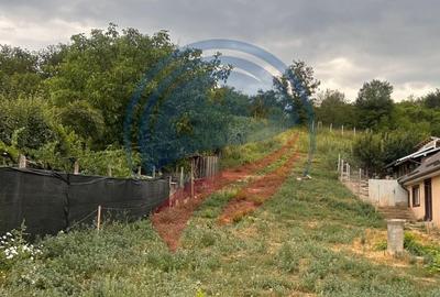 Teren de vanzare in  Breasta - 3