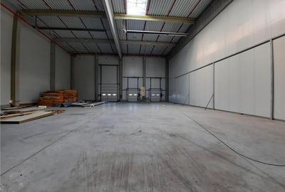Spatiu Industrial - 7500 mp - Logistica - Productie - Depozitare - Distributie - 20