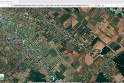 Teren extravilan agricol 10.000 mp Tartasesti - 4