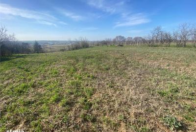 Spațiu comercial, în Central