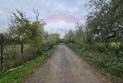 DE VANZARE Teren 3,171mp Ploiesti vizavi de Hipodrom - 4